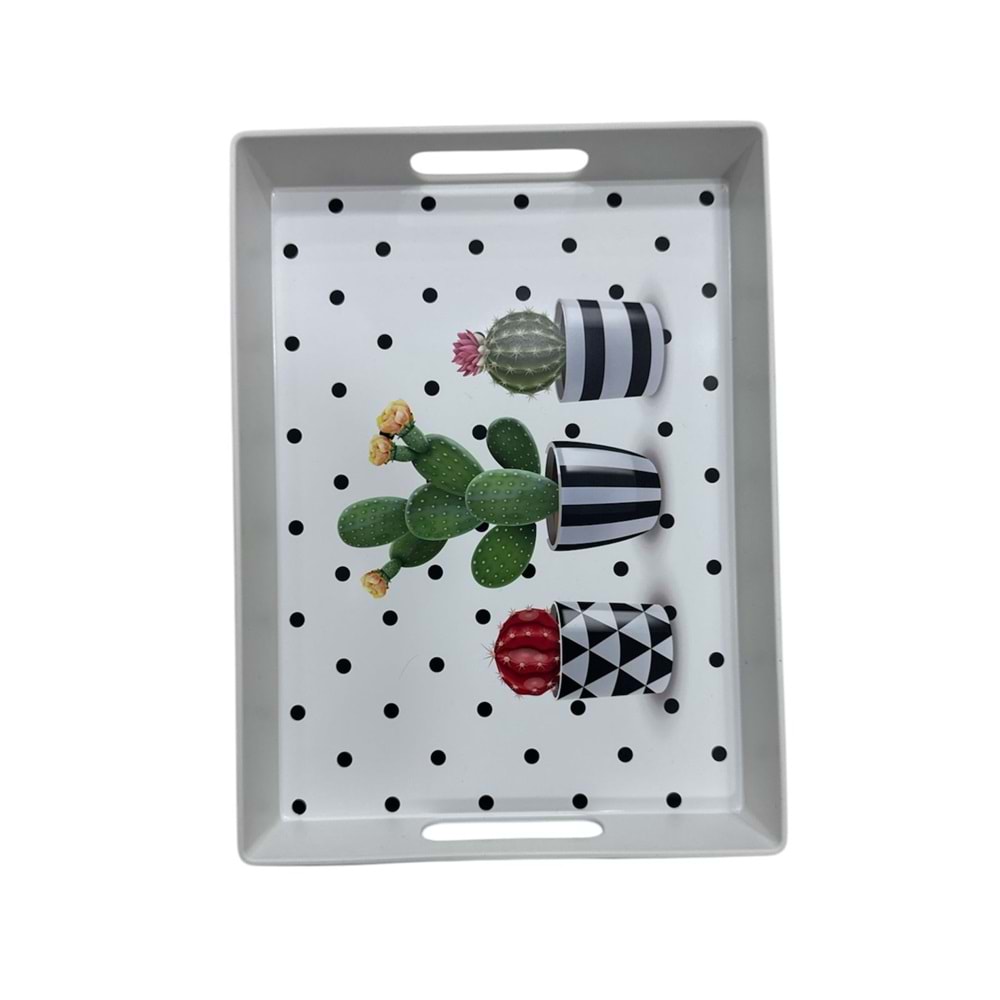 HARMONY DİKDÖRTGEN SUNUM TEPSİ