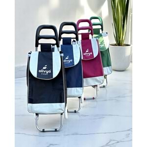 OLİVYA PAZAR ARABASI 0044