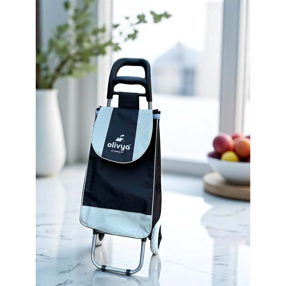 OLİVYA PAZAR ARABASI 0044