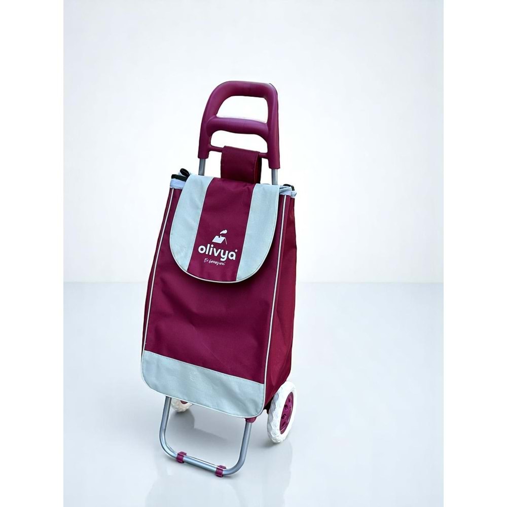 OLİVYA PAZAR ARABASI 0044