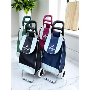 OLİVYA PAZAR ARABASI 0044